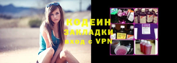 дурь Краснослободск