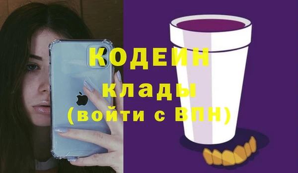 дурь Краснослободск