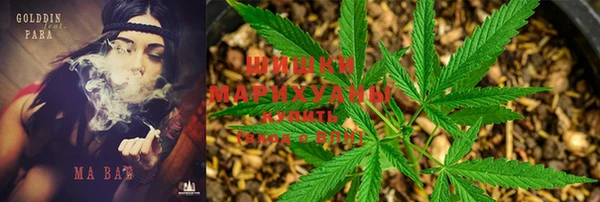 прущая мука Няндома