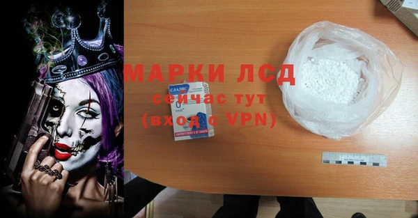 дурь Краснослободск