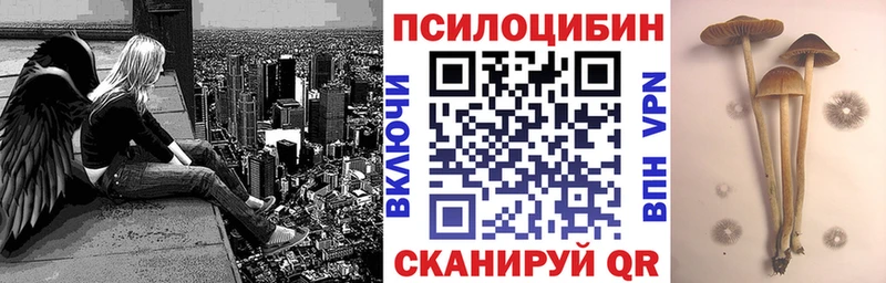 Галлюциногенные грибы прущие грибы  Каменск-Уральский 